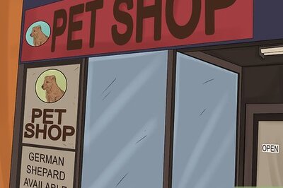 How to Teach a German Shepherd to Sit