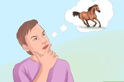 How to Tame Your Horse or Pony