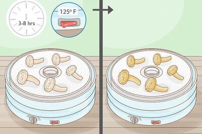 How to Make Mushroom Tea: Recipe & Benefits