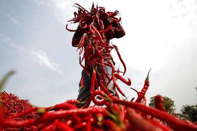 India's Chilli Exports to China Hit Due to Coronavirus, Cong MP Tells Rajya Sabha