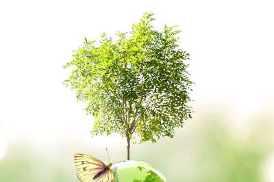 Anant National University Launches India’s First BTech in Climate Technologies