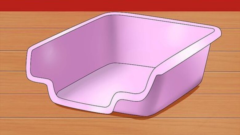 How to Toilet Train a Hamster