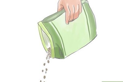 How to Fertilize Impatiens