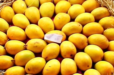 Delhi to get a taste of Bengal mango varieties