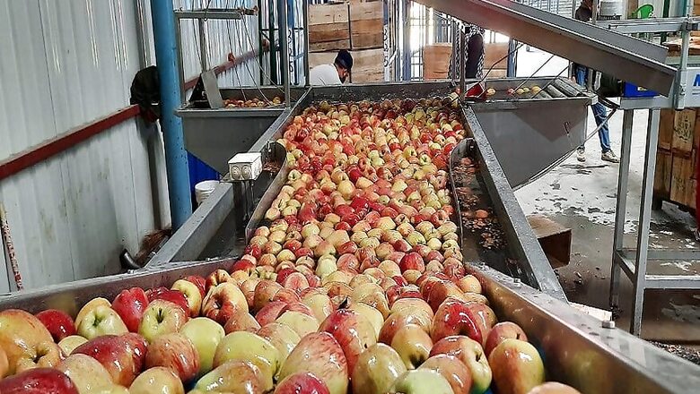 Kashmiri Apple Growers Seek Help from Locals This Ramzan as Lockdown Leaves Behind Bitter Taste