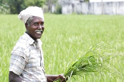 For Every Rs 100 of Premium Paid for Crop Insurance Under PMFBY; Farmers Received Rs 514 as Claims: Govt