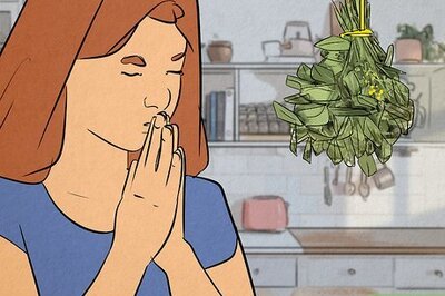 A Beginner's Guide to Hedge Witches (and How to Become One)