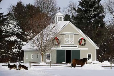 US: Life-threatening cold in Midwest, temperature may fall to minus 51 degree