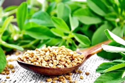 Spice Rack To Wellness Booster, Methi's Remarkable Health And Hair Benefits