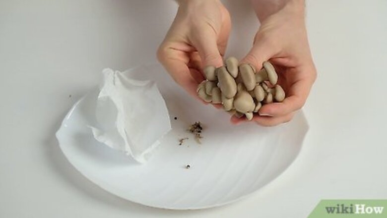 How to Clean Oyster Mushrooms