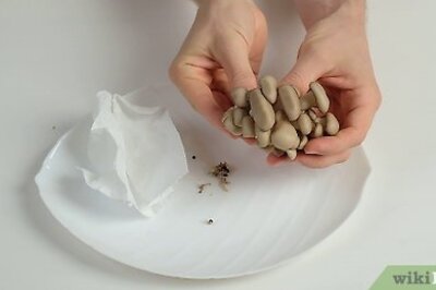 How to Clean Oyster Mushrooms