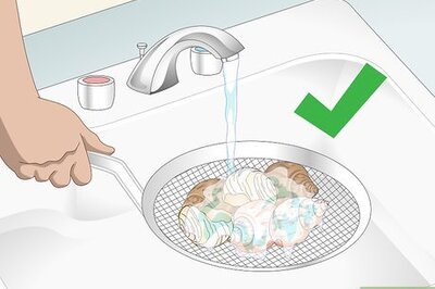 How to Clean a Sea Shell (for Hermit Crabs)