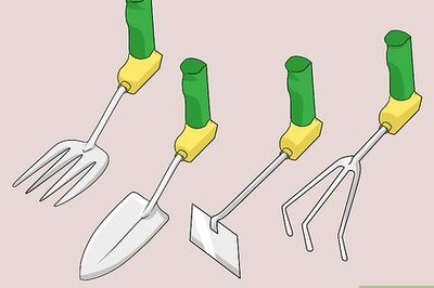 How to Know What Gardening Tools You Need