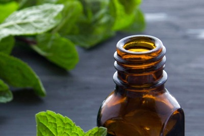 Benefits of Using Lemon Balm for a Healthy, Radiant Skin