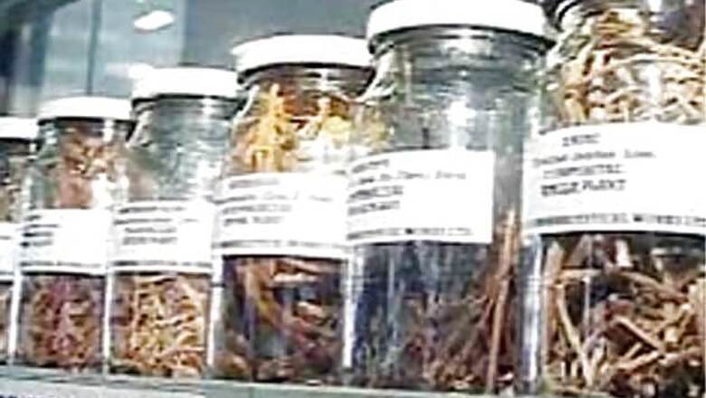 Global ayurveda festival in T'puram