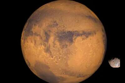 NASA, German Aerospace Center Study Reveals Some Earth Organisms Can Survive on Mars Temporarily