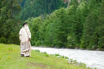 Why Rivers Need Trees, Writes Sadhguru