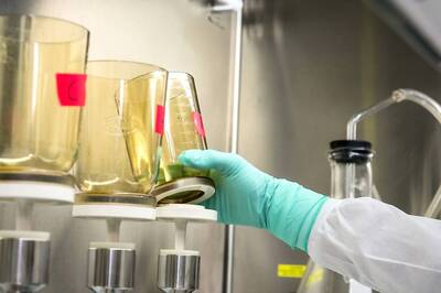 Archean Chemicals IPO GMP, Share Allotment to be Finalised Soon, How to Check