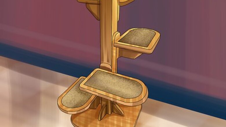 How to Choose a Kitty Condo