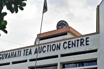 Assam Tea in Jeopardy as Producers Express Concerns Over Illegal Import of Nepal Tea into Country