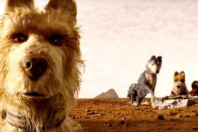 Wes Anderson's Isle of Dogs to Release in India on July 6