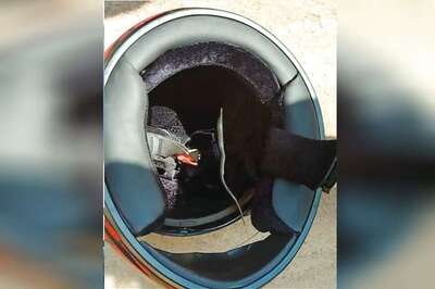 Man Rides Bike for 11 km in Kerala With a Snake in His Helmet, Unhurt