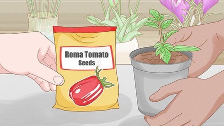 How to Grow Roma Tomatoes