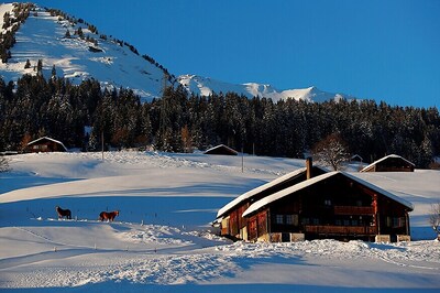 New Ranking Lists Best Countries in The World; Check Out the Top 10