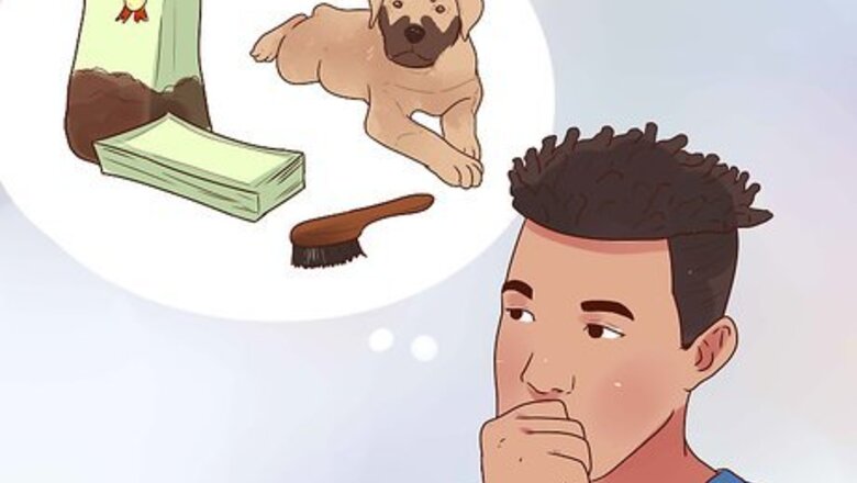 How to Buy a Puppy
