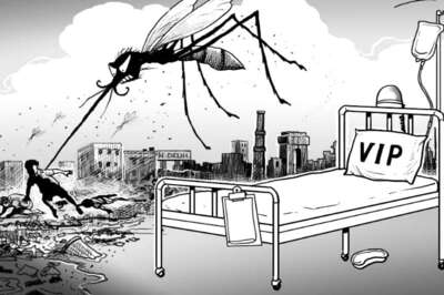 Chikungunya Stings Delhi; Death Toll Mounts to Five, Over Thousand Cases Detected