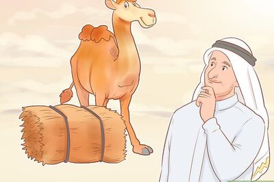 How to Buy a Camel