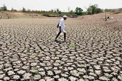 Waive Loans of All Drought-affected Farmers: High Court to TN Govt