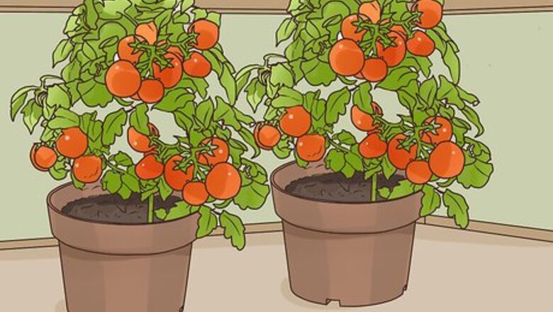 How to Be Self Sufficient in a City