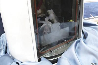 Iran launches monkey into space