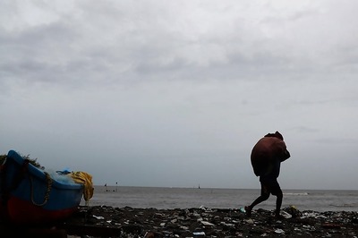 Cyclone Nisarga: Trees and Poles Uprooted near Alibaug