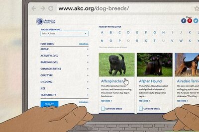 How to Register a Dog Without Papers