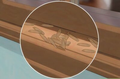 How to Protect Your Home from Termites