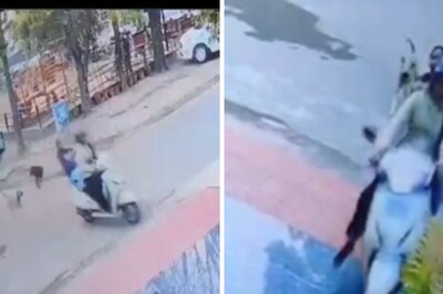 Viral: Mother-Daughter Duo Flee from Stray Dog Attack In Chandigarh, Meet With Accident