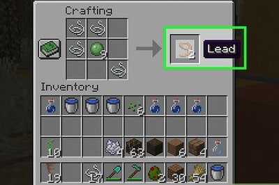 How to Get Your Own Polar Bear in Minecraft: Step-by-Step Guide