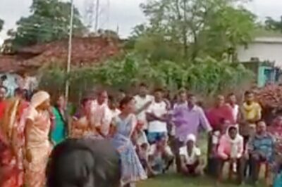 WATCH: Viral Video Shows Women Playing Kabaddi in Saree