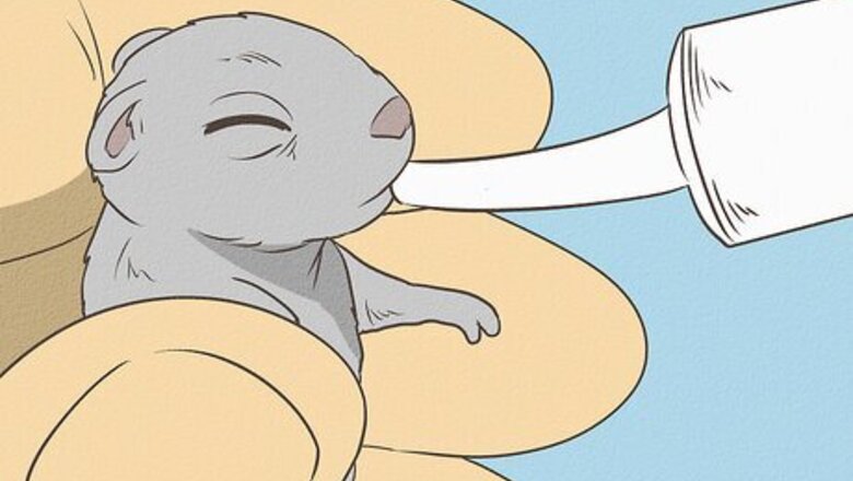 How to Tame a Mouse