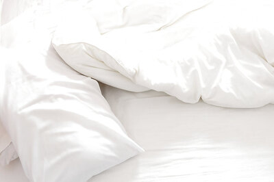 These Are The Most Bed Bug-infested Cities in The US