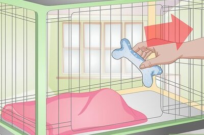 How to Clean a Dog Crate