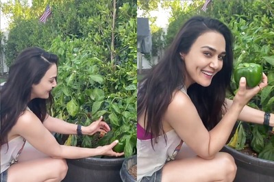 Preity Zinta Enjoys Organic Farming, Plucks Homegrown Capsicum