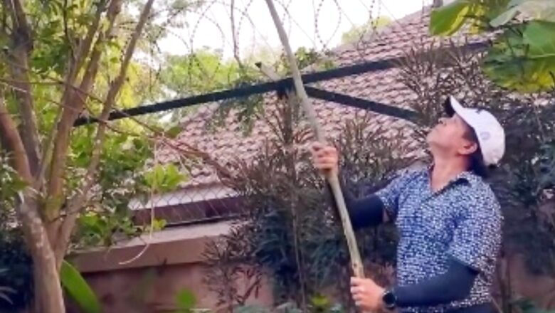 Watch: Sachin Tendulkar's 'Paid Promotion' as he Picks Fruit From a Tree