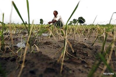 Chhattisgarh govt asks Centre to hike MSP for paddy to Rs 2,100 per quintal