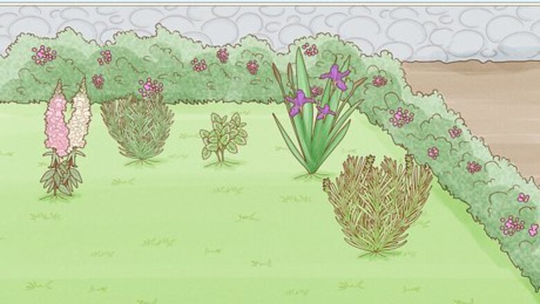 How to Keep Deer Out of Your Yard