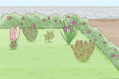 How to Keep Deer Out of Your Yard