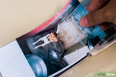 How to Save a Wet Photo Album