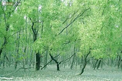 Conference to finalise changes in environment laws on April 6